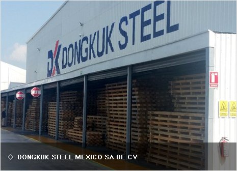DONGKUK STEEL MEXICO SA DE CV